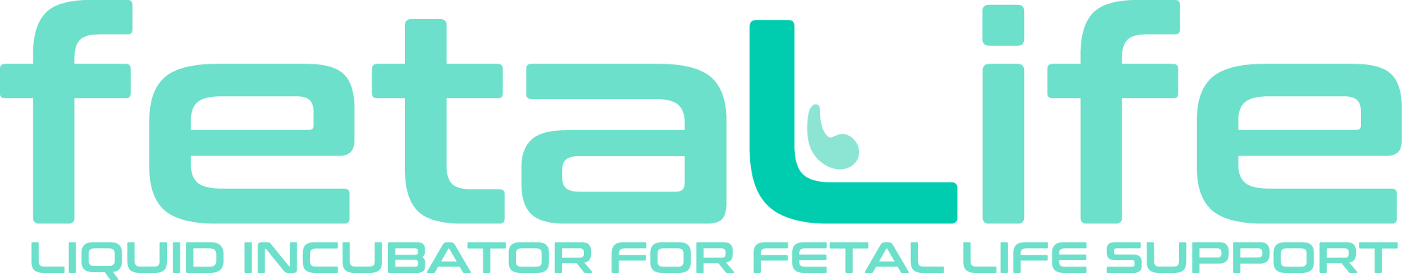 fetaLife — Liquid incubator for fetal life support